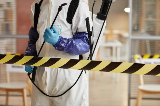 Professional Blood Cleanup technician working in Medina, TX